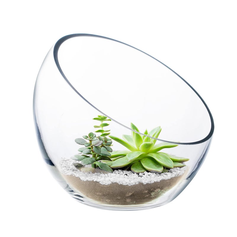 CYS EXCEL Glass Slant Cut Bubble Bowl (H-6" W-7") Clear Flower Vase Globe Bowl Terrarium Round Planter Decorative Centerpiece - Image 1